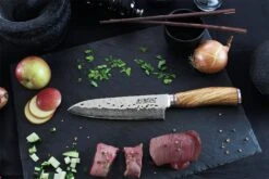 Wusaki Damas VG10 Set With 5 Kitchen Knives + 1 Roll Bag -Kitchen Knife Shop wusaki damas vg10 set 5 kitchen knives 1 roll bag 2